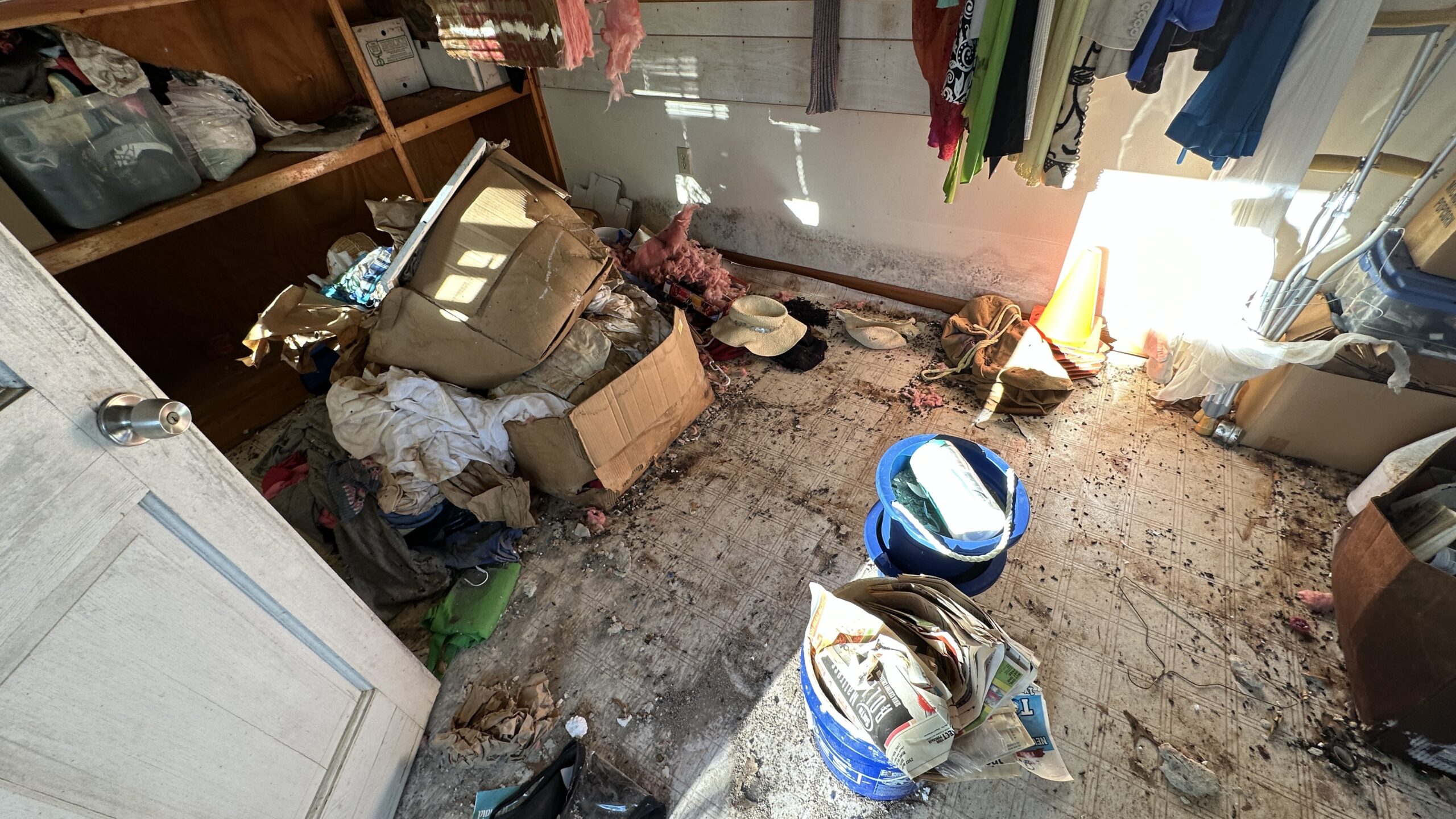 Garage Clean Outs Earthwise Junk Removal